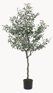 Umělá rostlina Olive