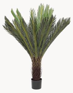 Umělá rostlina Cycas