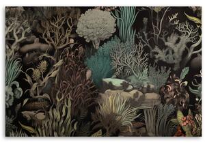 Obraz na plátně Korály v moři Rozměry: 60 x 40 cm
