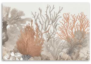 Obraz na plátně Krásné korály v moři Rozměry: 60 x 40 cm