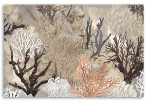 Obraz na plátně Podmořské korály Rozměry: 60 x 40 cm