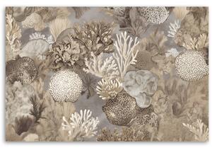 Obraz na plátně Mořští živočichové a korály Rozměry: 60 x 40 cm