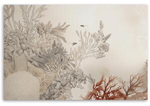 Obraz na plátně Podmořské rostliny a ryby Rozměry: 60 x 40 cm