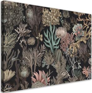 Obraz na plátně Nádherné mořské korály Rozměry: 60 x 40 cm