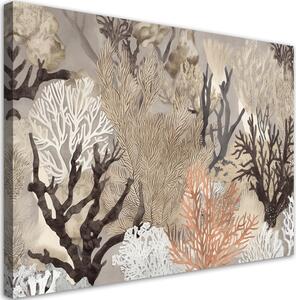 Obraz na plátně Podmořské korály Rozměry: 60 x 40 cm