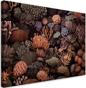 Obraz na plátně Krásné podmořské korály Rozměry: 60 x 40 cm