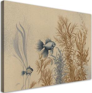 Obraz na plátně Ryby a mořské rostliny Rozměry: 60 x 40 cm