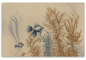 Obraz na plátně Ryby a mořské rostliny Rozměry: 60 x 40 cm