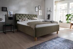 Čalouněná postel kartika s úložným prostorem 160 x 200 cm zelená