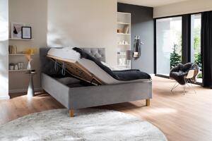 Čalouněná postel kartika s úložným prostorem 160 x 200 cm světle šedá