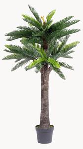 Exteriérová umělá rostlina Cycas