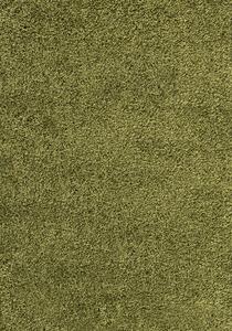 Ayyildiz koberce Kusový koberec Dream Shaggy 4000 green - 80x150 cm