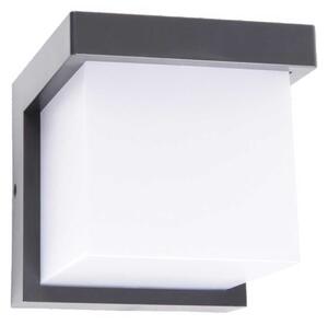 VK Light Neon LED nástěnné svítidlo IP65 čtvercové Antracitová