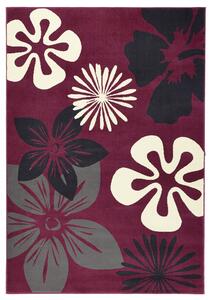 Hanse Home Collection koberce Kusový koberec Gloria 102401 - 120x170 cm