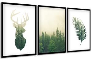 Gario Sada plakátů Divoká příroda Barva rámu: Bez rámu, Velikost: 135 x 63 cm