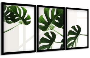 Gario Sada plakátů Krásná zeleň Barva rámu: Černá, Velikost: 99 x 45 cm
