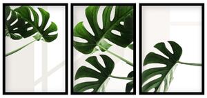Sada plakátů Krásná zeleň - 3 dílná Barva rámu: Černá, Velikost: 99 x 45 cm