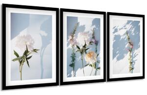 Sada plakátů Podzimní květiny - 3 dílná Barva rámu: Bez rámu, Velikost: 99 x 45 cm