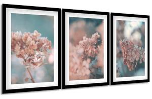 Gario Sada plakátů Nádherné hortenzie Barva rámu: Bez rámu, Velikost: 99 x 45 cm