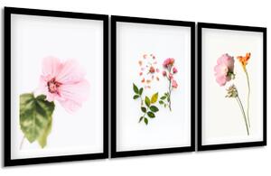 Gario Sada plakátů Kompozice květin Barva rámu: Bez rámu, Velikost: 99 x 45 cm