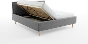 Čalouněná postel deria s úložným prostorem 180 x 200 cm světle šedá