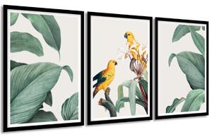 Sada plakátů Papoušci a listy - 3 dílná Barva rámu: Bez rámu, Velikost: 135 x 63 cm