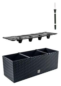Prosperplast Rato Case Truhlík 51,4 x 19,2 x 18,6 cm antracit