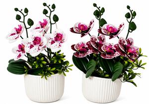 Umělá květina, orchidej Phalaenopsis, sada 2 ks, výška 38 cm, plast, bílá/vínová, Dekorino UK20260030