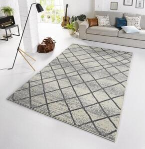 Zala Living - Hanse Home koberce Kusový koberec Capri 102552 - 70x140 cm