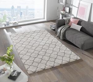 Mint Rugs - Hanse Home koberce Kusový koberec Grace 102601 - 120x170 cm
