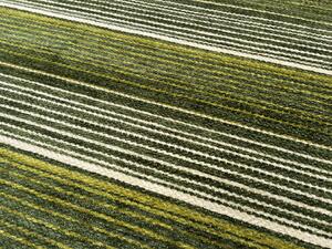 Oriental Weavers koberce Pratelný běhoun Laos 140/999X - 55x85 cm