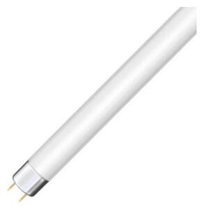 Zářivková trubice T8 G13/36W/103V 4000K 120 cm