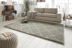 Mint Rugs - Hanse Home koberce Kusový koberec Allure 102752 grau creme ROZMĚR: 120x170