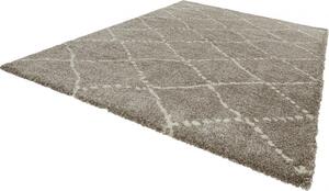 Mint Rugs - Hanse Home koberce Kusový koberec Allure 102752 grau creme - 120x170 cm