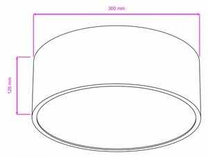 Brilagi - Koupelnové stropní svítidlo POOL 2xE27/15W/230V pr. 30 cm IP54 bílá