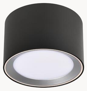 Stmívatelné stropní LED svítidlo Landon
