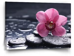 Sablio Obraz Orchidej - 60x40 cm