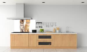 Panel do kuchyně Hnědá a červená kočka pl-pksh-140x70-f-101681955