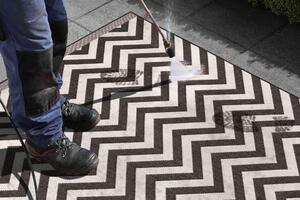 NORTHRUGS - Hanse Home koberce Kusový koberec Twin Supreme 103433 Palma black creme ROZMĚR: 80x150