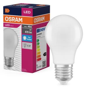 Matná LED žárovka E27 4,9 W CLASSIC A, denní světlo 6500K