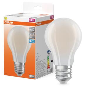 Matná LED žárovka E27 STAR 24 W, studená bílá, náhrada 200 W