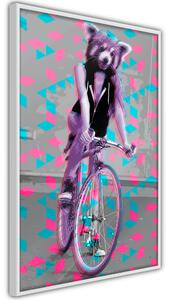 Artgeist Extraordinary Cyclist Velikosti (šířkaxvýška): 20x30, Finální vzhled: Černý rám s paspartou