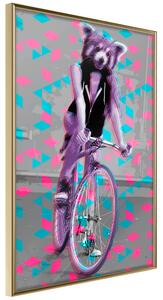 Artgeist Extraordinary Cyclist Velikosti (šířkaxvýška): 20x30, Finální vzhled: Černý rám s paspartou