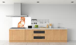 Skleněný panel do kuchynské linky Červená kočka pl-pksh-140x70-f-120895228
