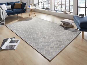 Zala Living - Hanse Home koberce Kusový koberec Harmony Grey Wool 103314 - 77x150 cm