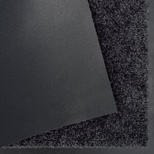Hanse Home, Rohožka Wash & Clean 102011 Black | Černá Typ: 40x60 cm