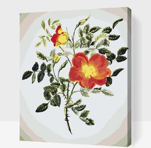 Gario Malování podle čísel Vintage květiny VI Velikost: 40 x 50 cm, Rámování: Bez vnitřního rámu
