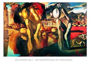 Umělecký tisk Salvador Dali - Metamorphosis Of Narcissus, Salvador Dalí, (70 x 50 cm)