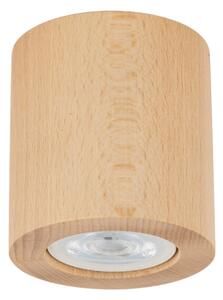 Stropní svítidlo TK 10121 EVE GU10