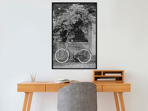 Artgeist Bicycle with White Tires Velikosti (šířkaxvýška): 20x30, Finální vzhled: Černý rám s paspartou